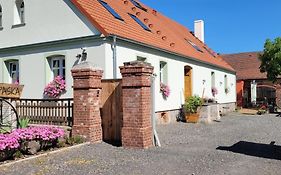 Skotopaska